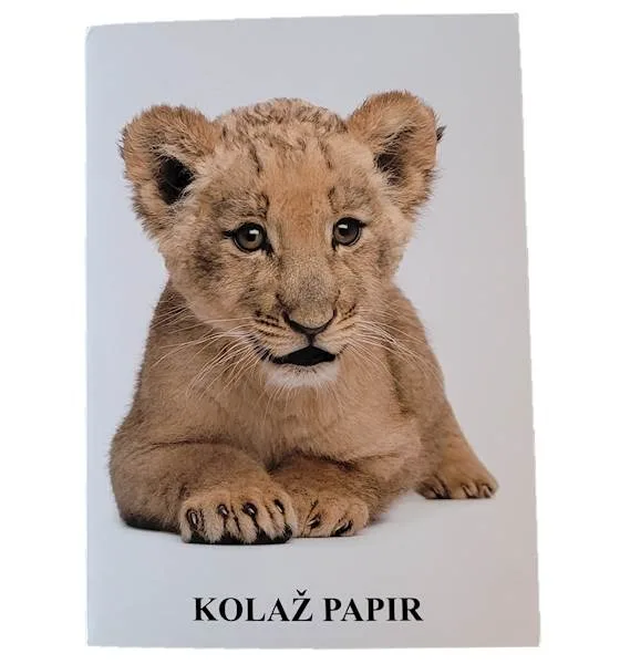 Kolaž papir- 20 listni (baby levček)
