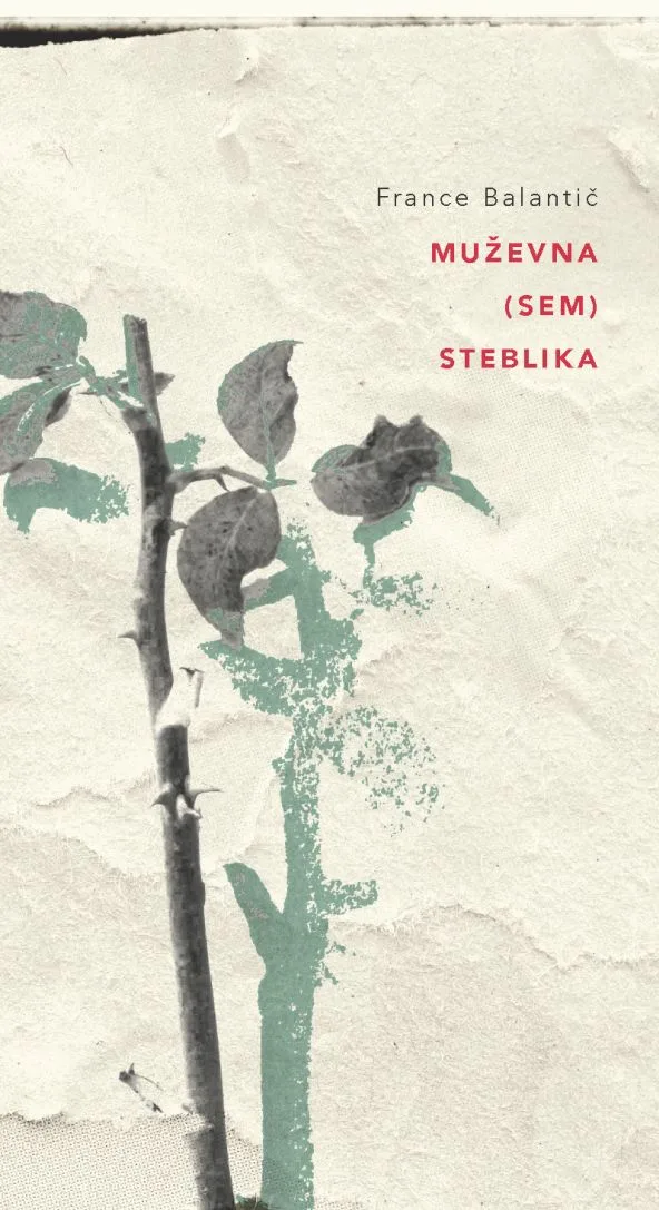 Muževna (sem) steblika