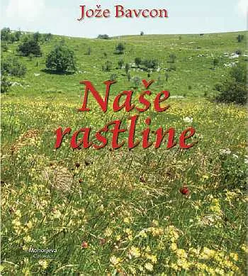 Naše rastline