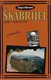 Škabrijel. Soška fronta 1917