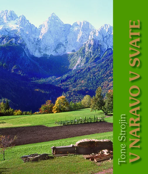 V naravo v svate