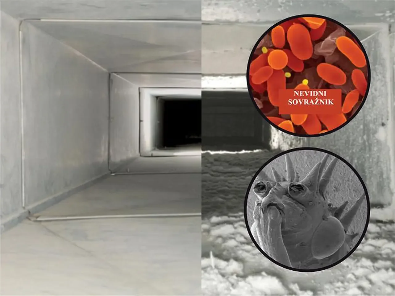Storitev Čiščenja Cevovodnih Sistemov – Umazan in čist cevovodni sistem ventilacije in klimatizacije. Stanje pred in po čiščenju. • Primer bakterij v cevovodnih ventilacijskih in klimatizacijskih sistemih.
