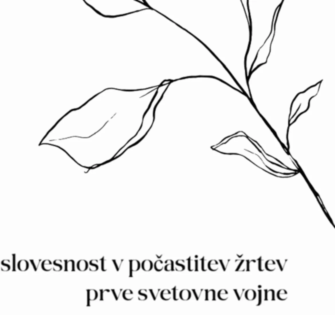 novice
