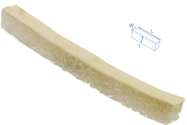 Cortico-cancellous Bone Grafts