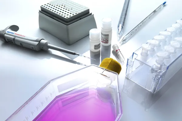 Autologous MSCs (NPZNZ)