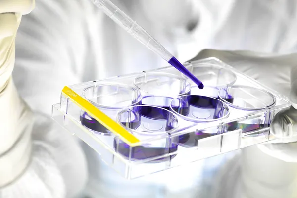 GaiaAdipo, GaiaChondro