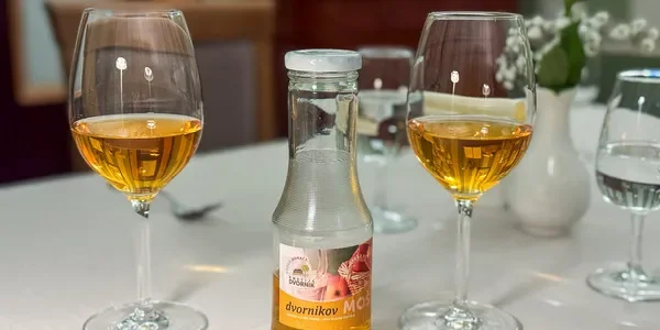 Vinska ponudba