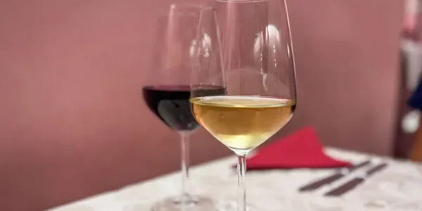 Vinska ponudba