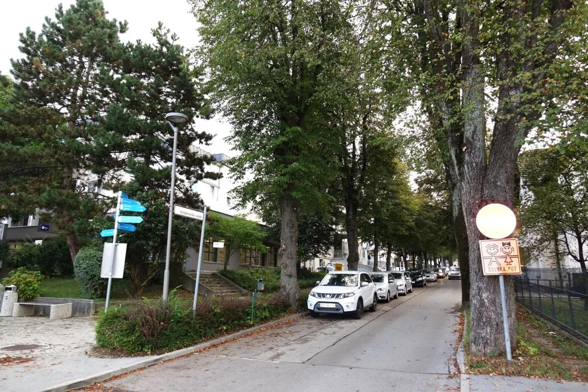 Odstranitev poškodovanih dreves in zasaditev novih na Kolodvorski cesti