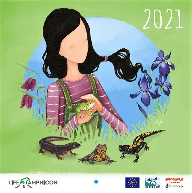 POUČNI KOLEDAR 2021 – Deklica Amfi in dvoživke - prikaz sodelovanja človeka in narave!