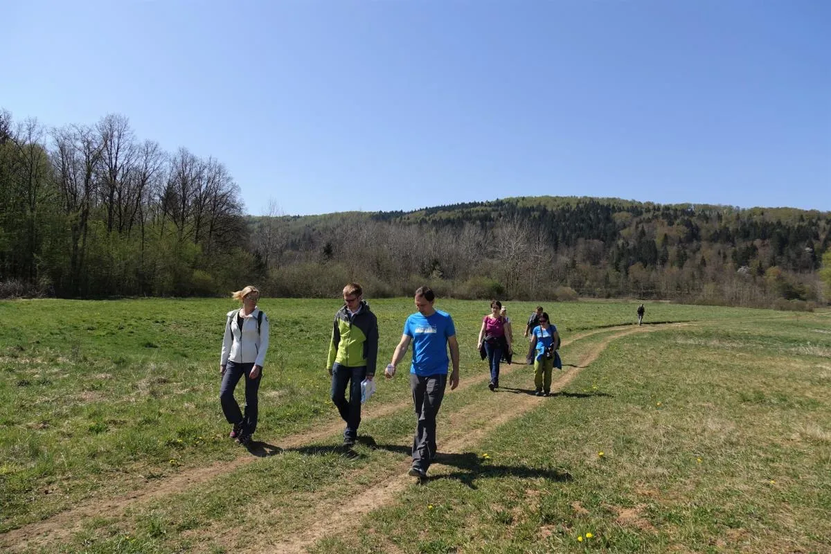 V Krajinskem parku Radensko polje v okviru evropskih projektov Vezi narave in Life Amphicon kmalu sprehajalne in učne poti ter druge investicije