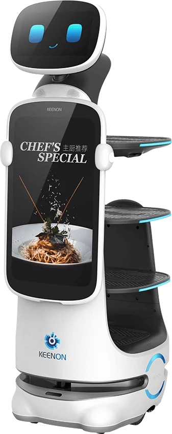 DinerBot T10