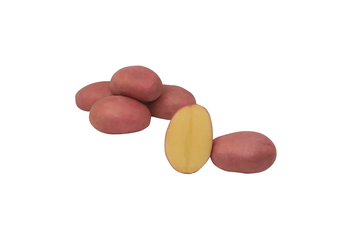 KROMPIR LABELLA A 25 kg 28/35 mm