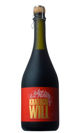 Birra Kratochwill Robust Porter