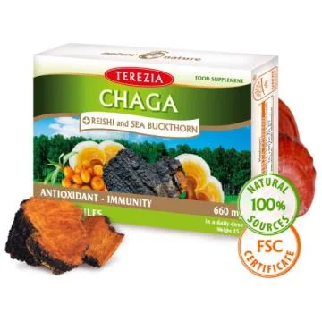 Čaga + reiši in rakitovec