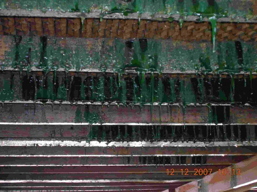 Algae without Merus
