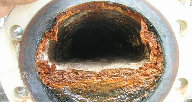 Biofilm and deposits inside a pipe section