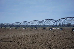 Künstliche Bewässerung in der Landwirtschaft
