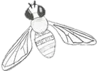Merus saves bees