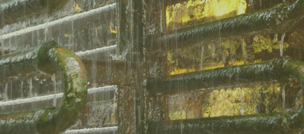 Algae in cooling water