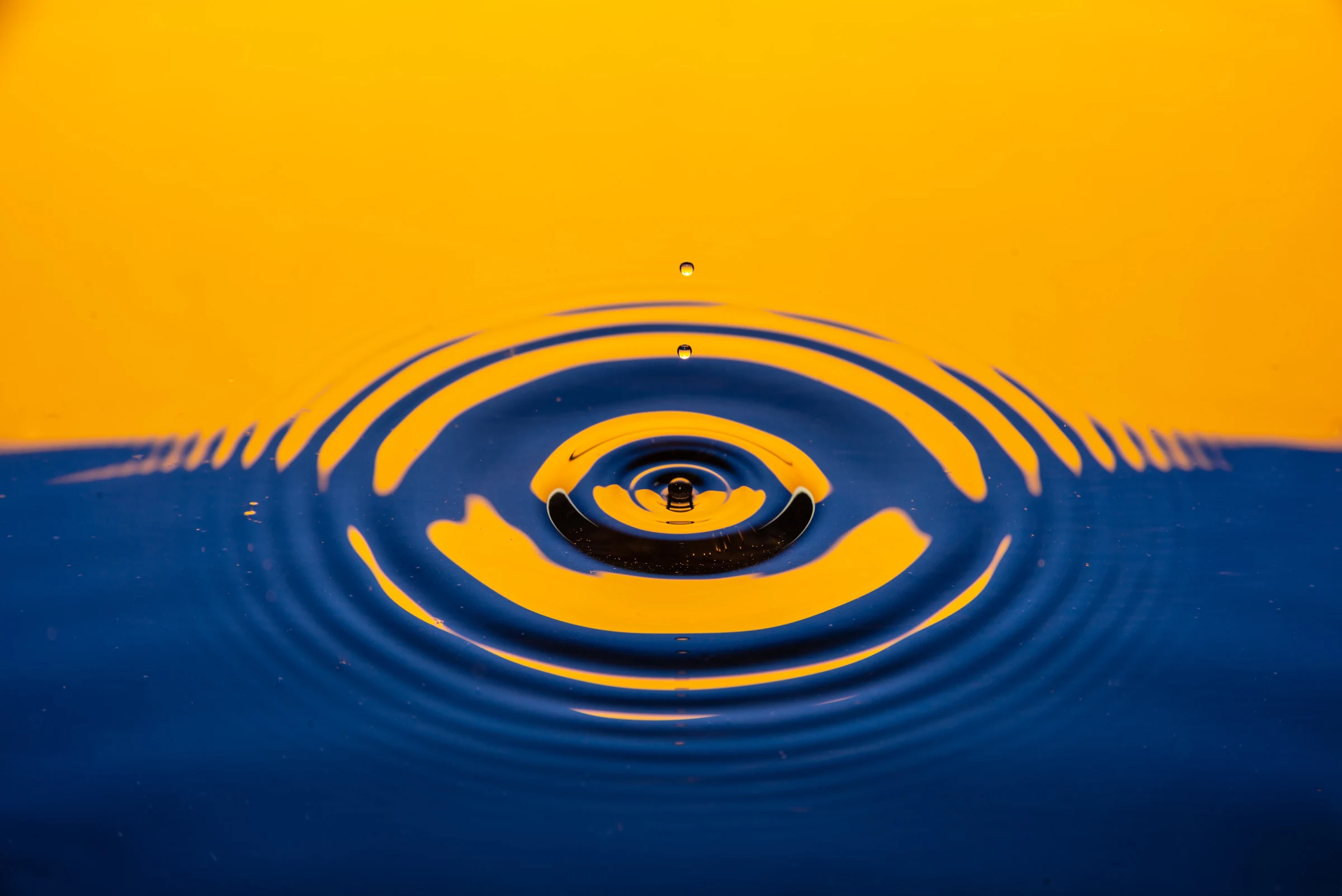 izzy gibson xqFCy9AbHP4 unsplash