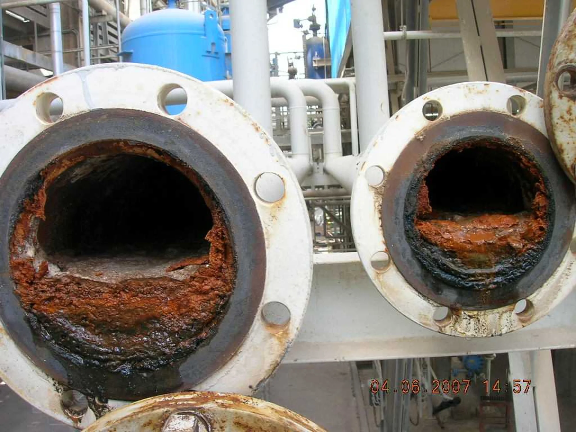 Biofouling at a Refinery
