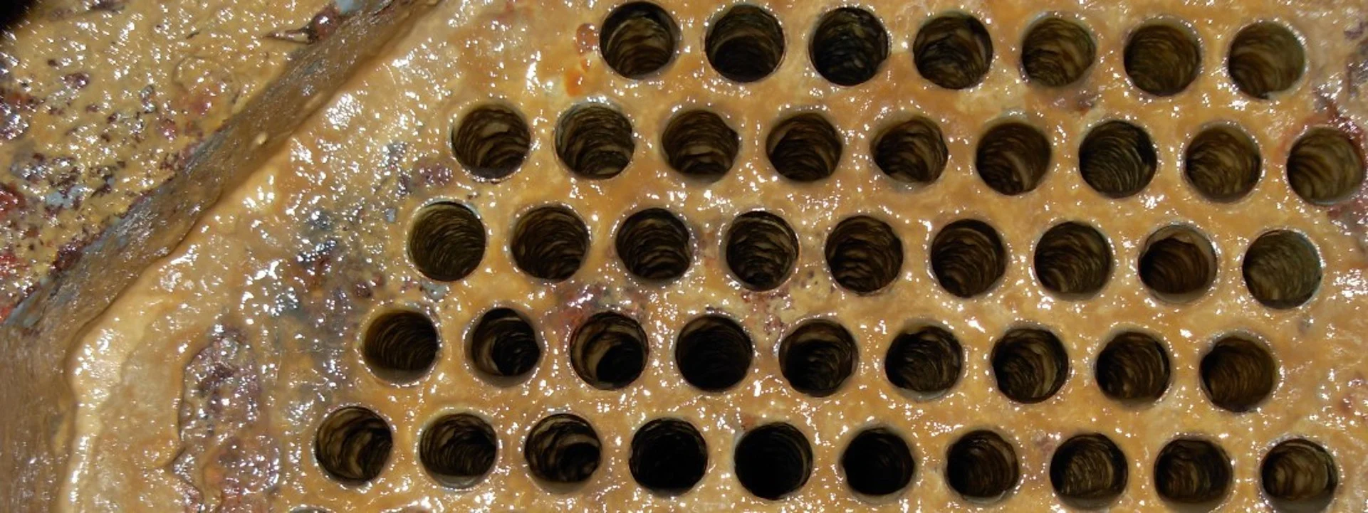 Cooling Water Treatment in the Oil Industry