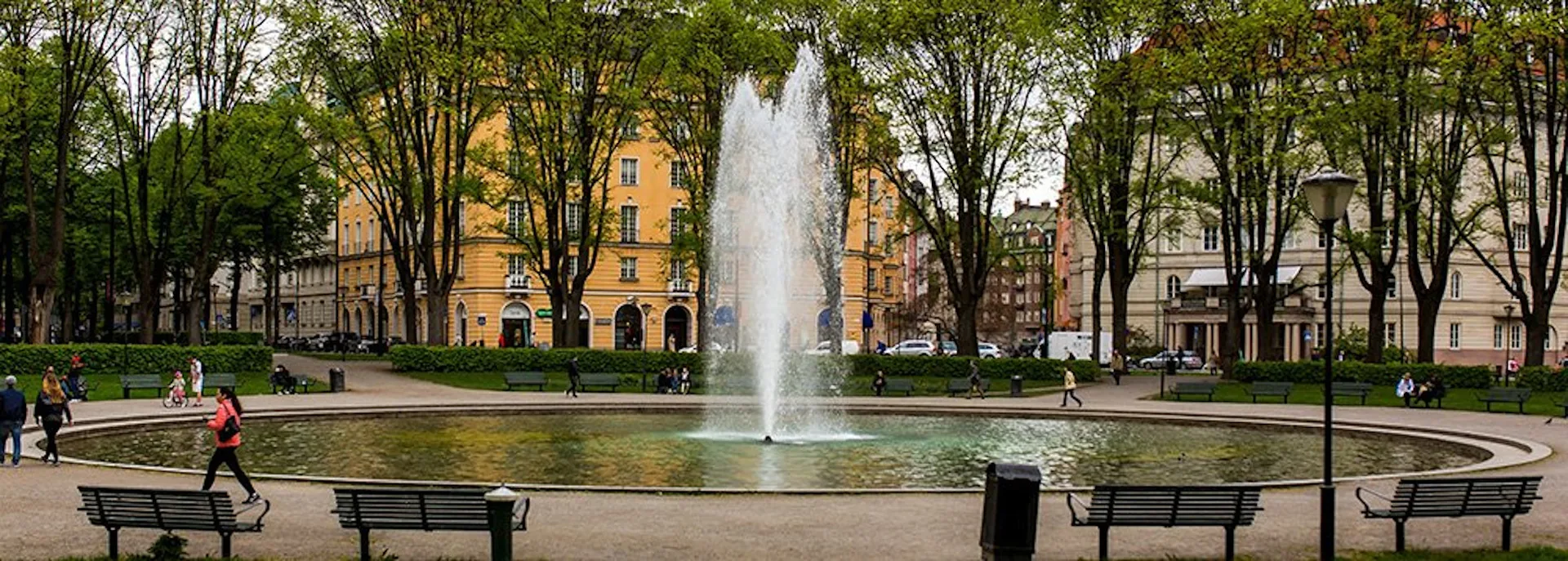 Limescale and algae in the water fountain
