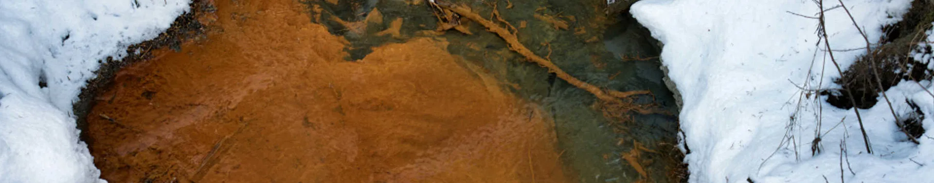 Iron Bacteria in well water