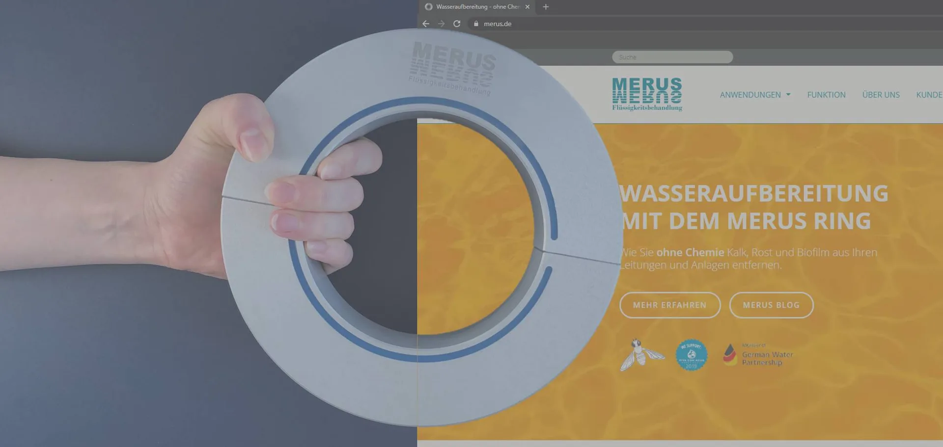 About Freedom and Self-Made Media - My Master Thesis at Merus
