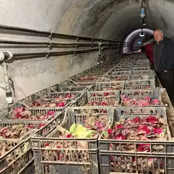 kjer se mudi sukenski regut