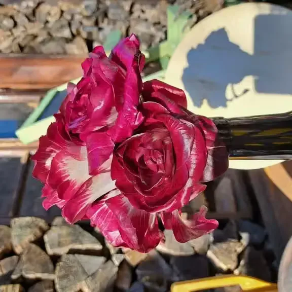 sukenski regut - La rosa di Gorizia