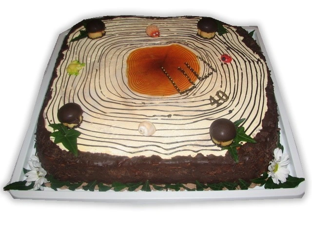 Torte za posebne priložnosti – primer 12