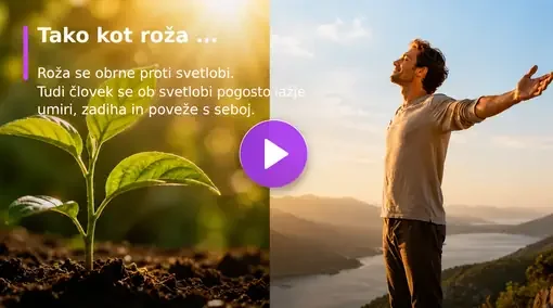 Tako kot roža, kratki video o Purple 1