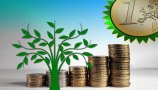 ZPS pregled ponudbe financiranja ekoloških naložb: Na banko ali Eko sklad?