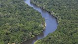 WWF sporočilo - Poročilo o stanju planeta 2020