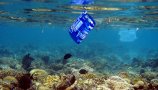 Do leta 2050 bo v oceanih več plastike kot rib - če ne bomo ukrepali!