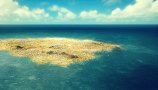 Pacifiški otok smeti