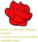 Res - S spoštovanjem
