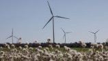 Mreža za energetske skupnosti - za obnovljive vire v rokah ljudi