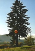 Pozitivna in zastajajoča energija