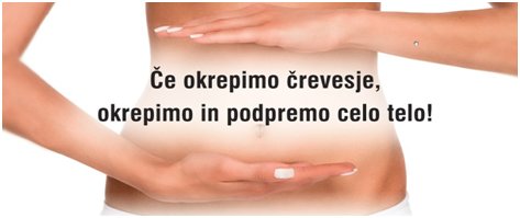 Bakterije ki prinašajo zdravje