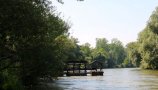 Društvo za preučevanje rib Slovenije - dostop do IJZ
