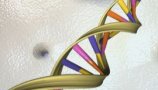 Epigenetika: od staršev podedujemo več kot le gene