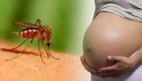 Priporočila potnikom glede ravnanja v zvezi z Zika virusom