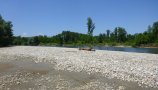 Evropska Amazonka