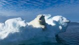 Rekordno visoke temperature v letu 2016 alarm za nujno mednarodno ukrepanje