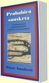 Najstarejša znana civilizacija je obdonavska