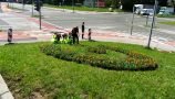 Za vsako posajeno cvetlico otrok bo Qlandia donirala kranjski porodnišnici