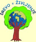 Drevo